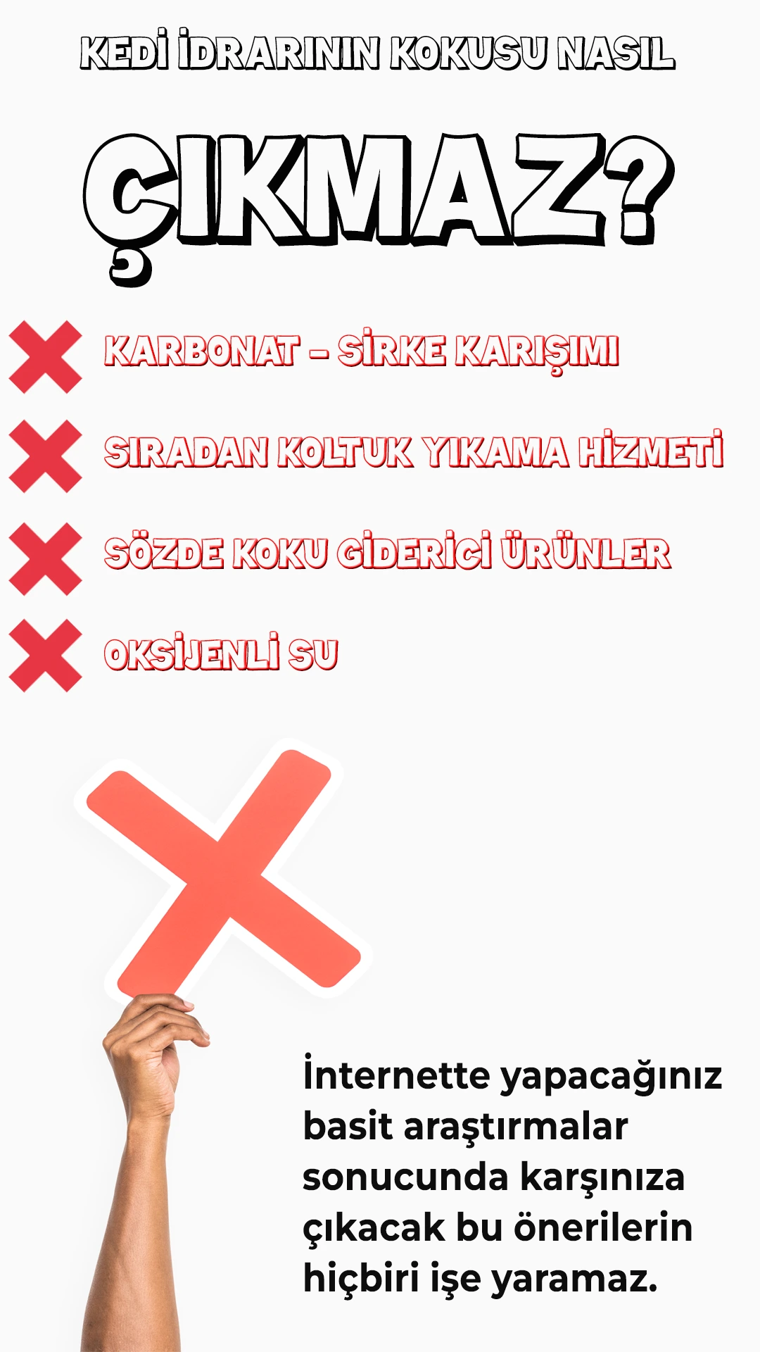 Koltuktan Kedi Çiş Kokusu Nasıl Çıkar? 01