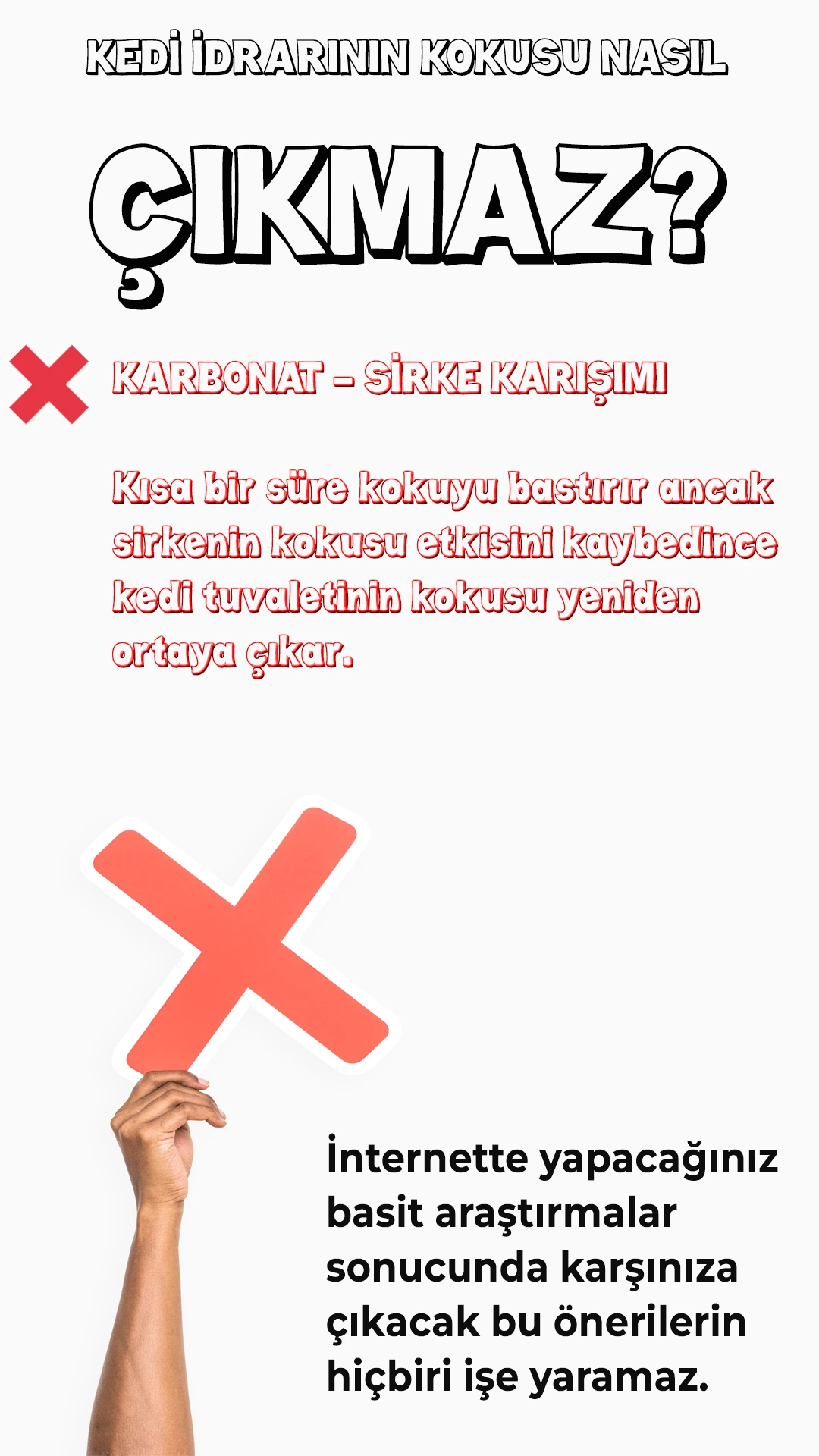 Koltuktan Kedi Çiş Kokusu Nasıl Çıkar? 02