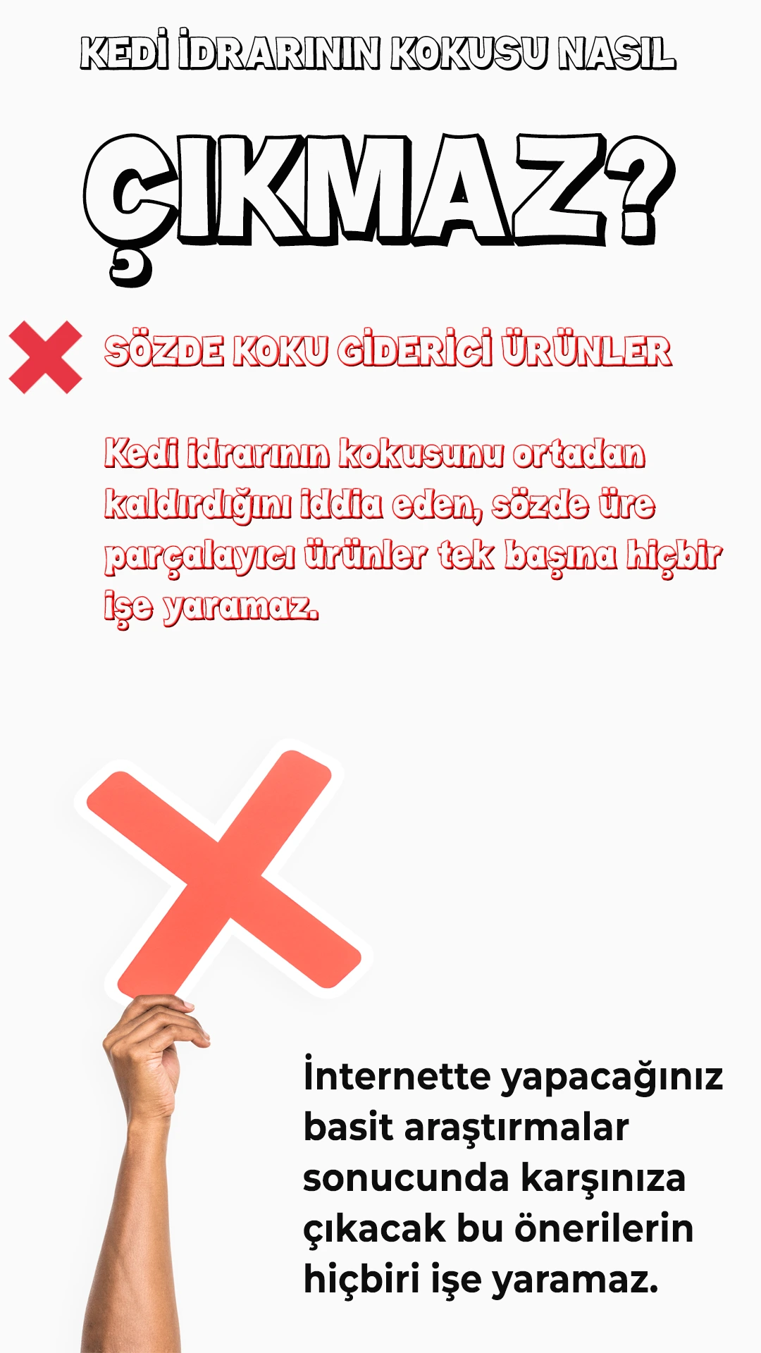 Koltuktan Kedi Çiş Kokusu Nasıl Çıkar? 04