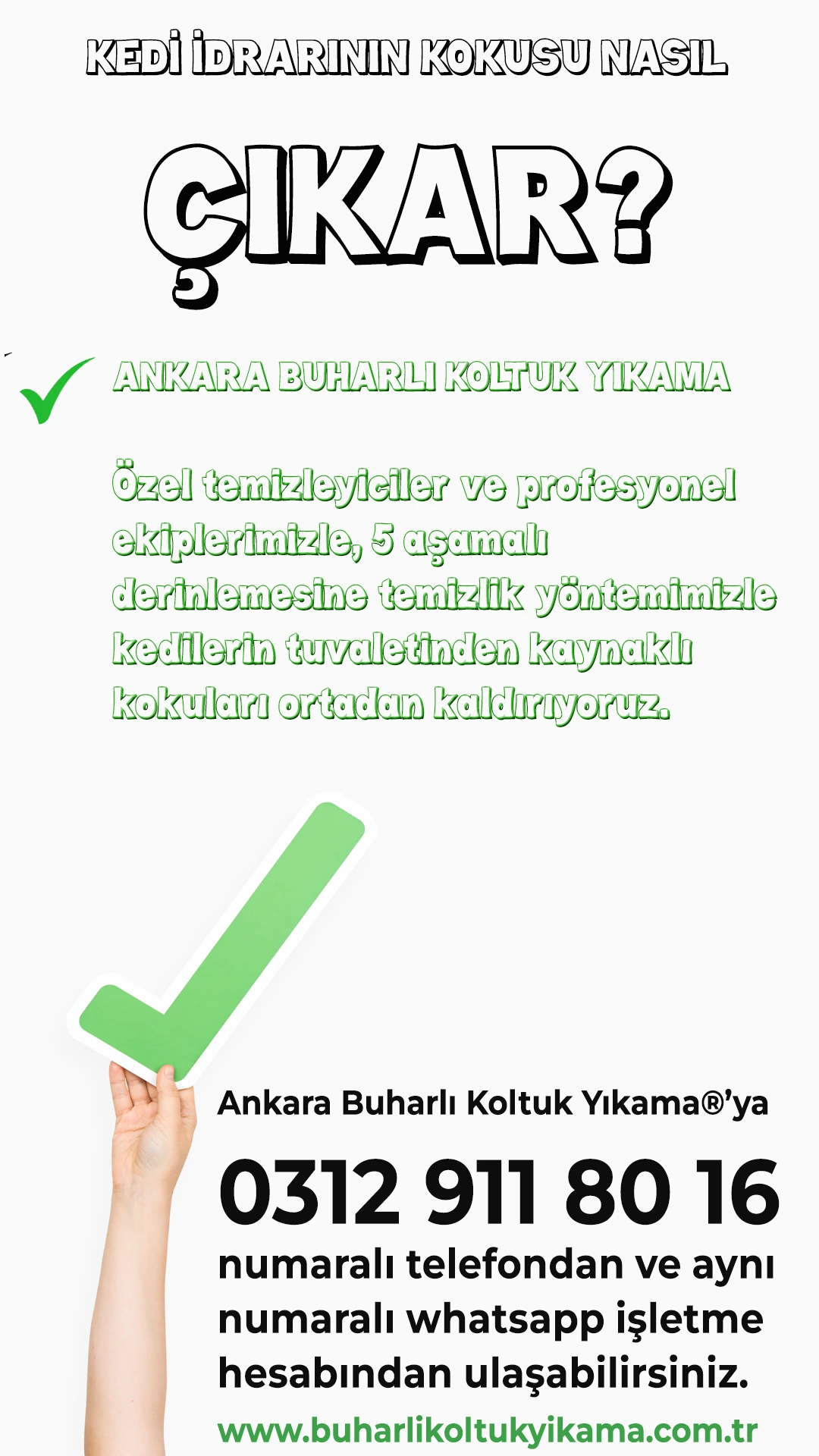 Koltuktan Kedi Çiş Kokusu Nasıl Çıkar? 06